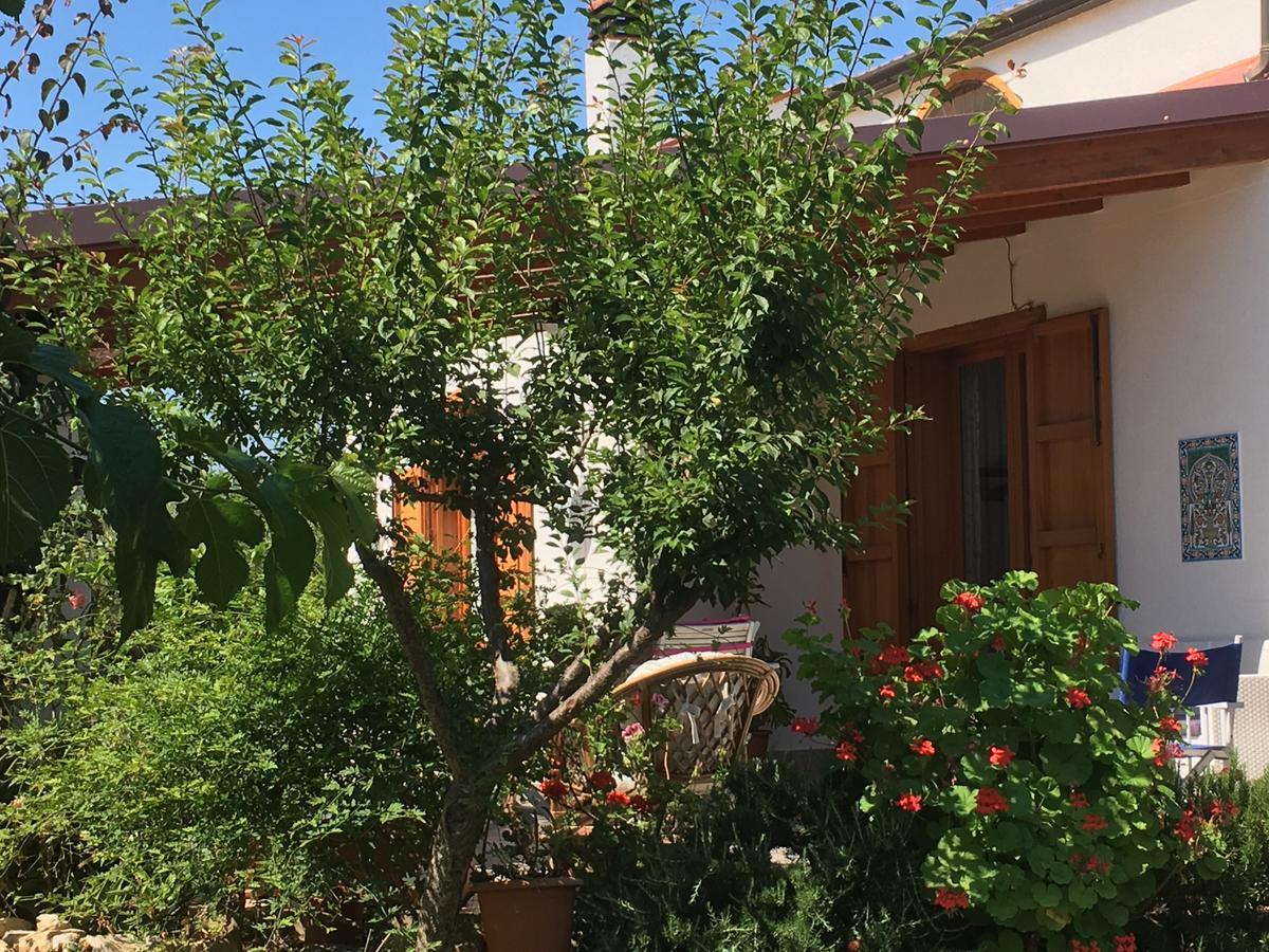 Uliveto House Acomodação com café da manhã Castellammare del Golfo Exterior foto